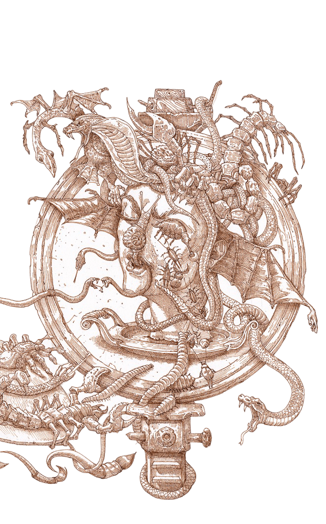 Decorative right side illustration